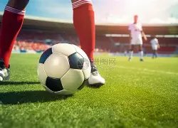 独家揭秘,球星莱昂纳,多伤病未愈,PA真人,PA真人平台,PA真人官网,PA真人官方网站