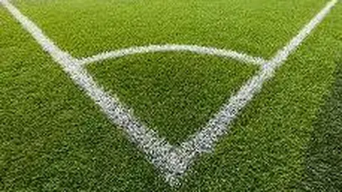 pa真人 资讯 132726 jtk