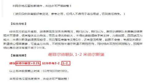 篮球巅峰对决：湖人VS马刺，独家让分攻略，揭秘比赛悬念！