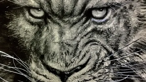 利物浦与阿森纳共谋争夺诺丁汉森林目标——狼堡射手阿莫拉角逐战